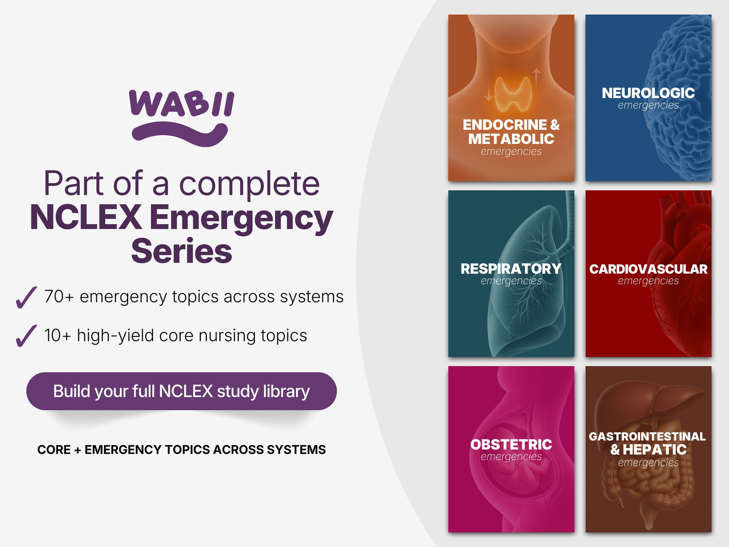 NCLEX Renal Electrolyte Study Sheets | Nursing Cheat Sheet (PDF Download)