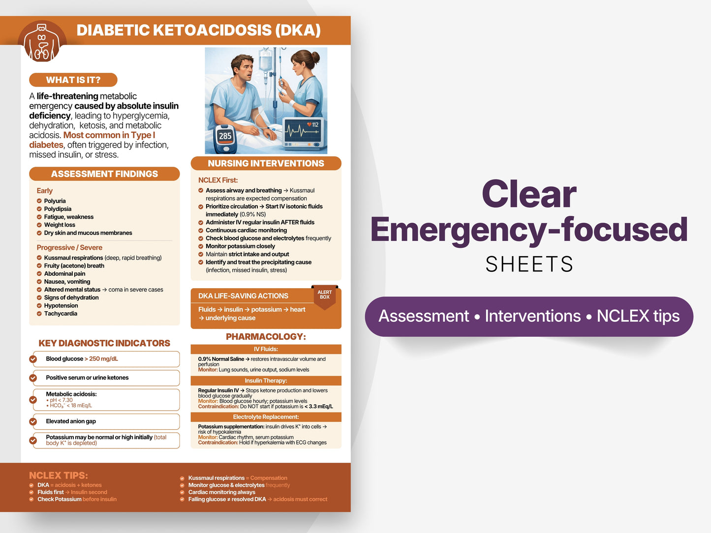Endocrine & Metabolic NCLEX Study Sheets | DKA Thyroid Nursing Cheat Sheets