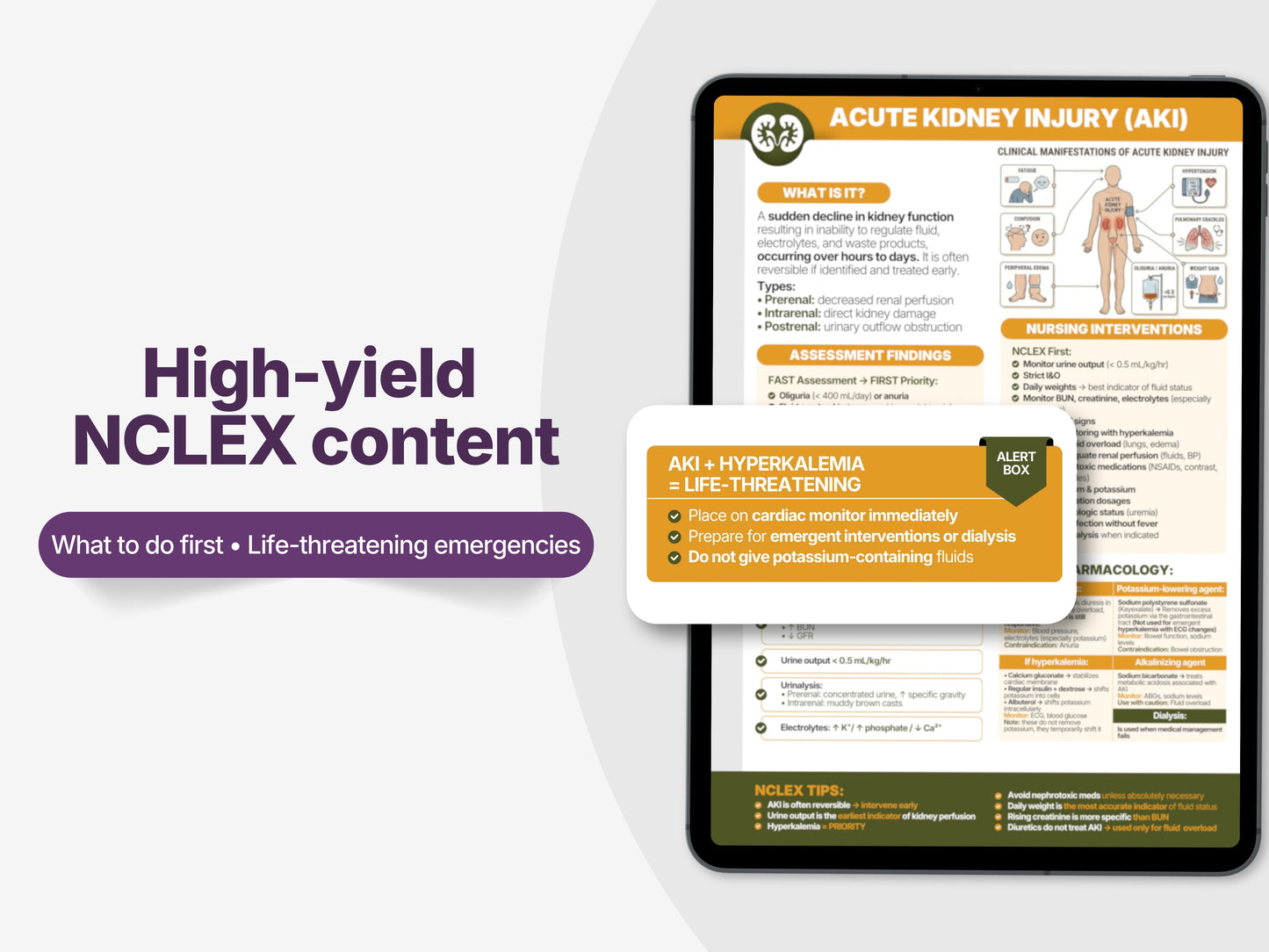 NCLEX Renal Electrolyte Study Sheets | Nursing Cheat Sheet (PDF Download)